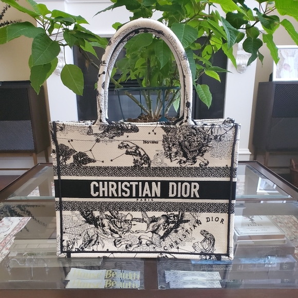 Limited Edition Dior Book Tote Medium - Picture 3 of 4